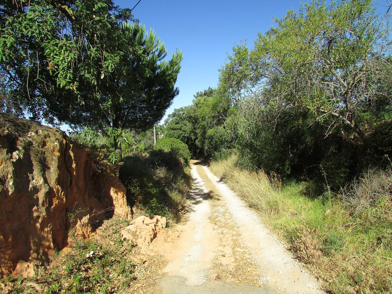 Caminho de terra entre muros e vegetação no Algarve
